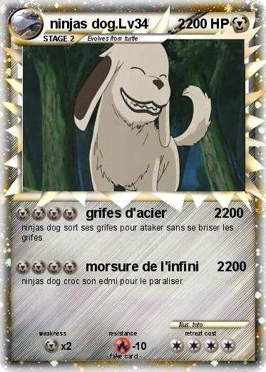 Pokemon ninjas dog.Lv34        2