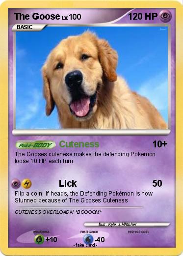 Pokemon The Goose