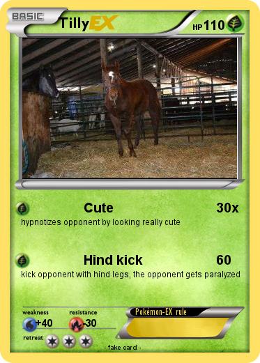 Pokemon Tilly