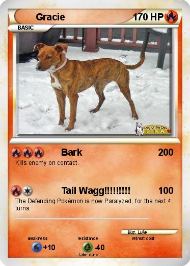 Pokemon Gracie