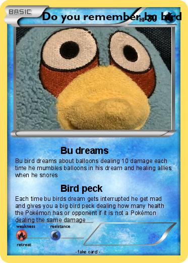 Pokemon Do you remember bu bird