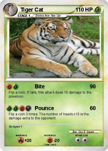 Pokemon Tiger Cat