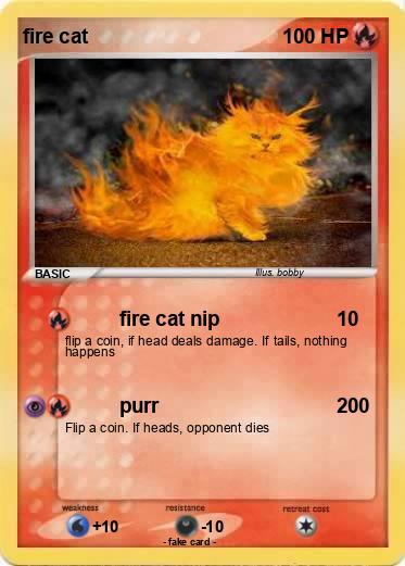 Pokemon fire cat
