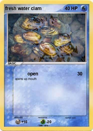 Pokemon fresh water clam