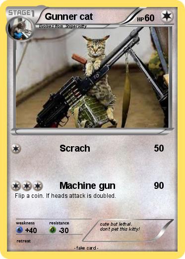 Pokemon Gunner cat