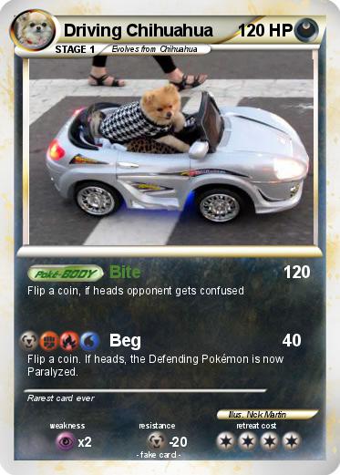 Pokemon Driving Chihuahua