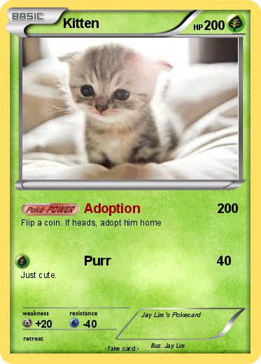 Pokemon Kitten