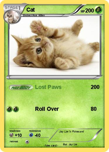 Pokemon Cat