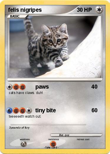 Pokemon felis nigripes