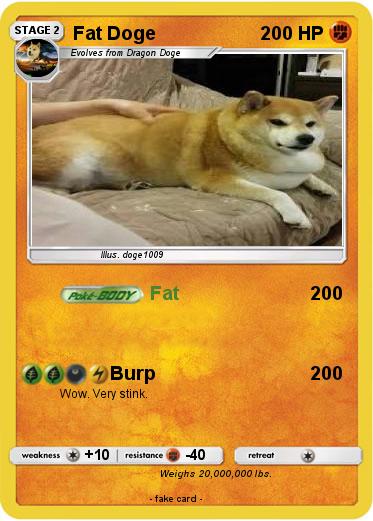 Pokemon Fat Doge
