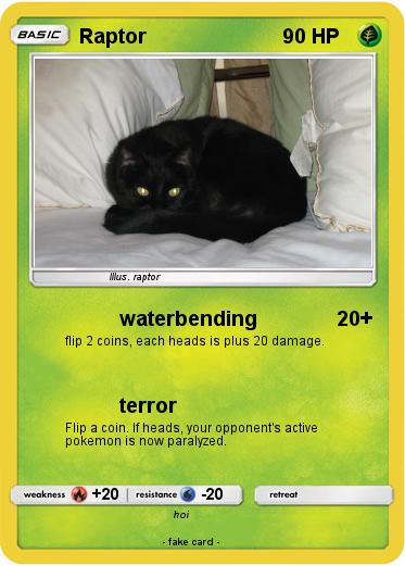 Pokemon Raptor