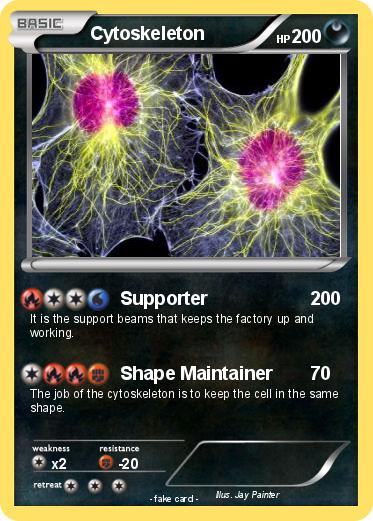Pokemon Cytoskeleton