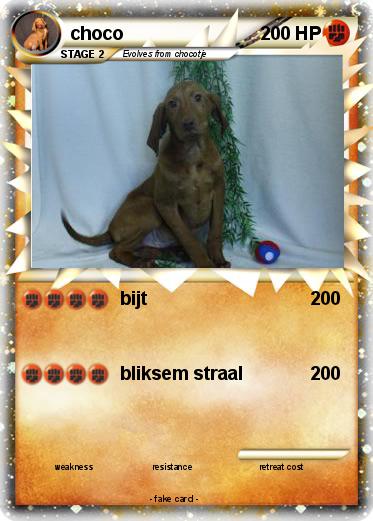 Pokemon choco