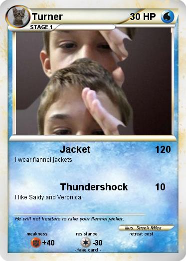 Pokemon Turner