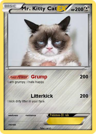 Pokemon Mr. Kitty Cat