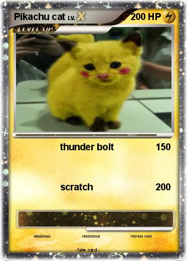 Pokemon Pikachu cat