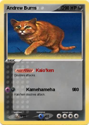 Pokemon Andrew Burns