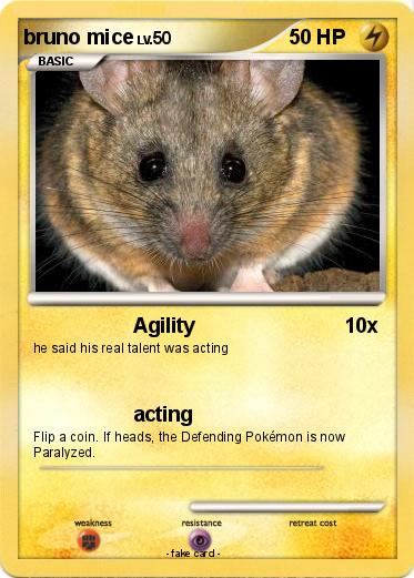 Pokemon bruno mice