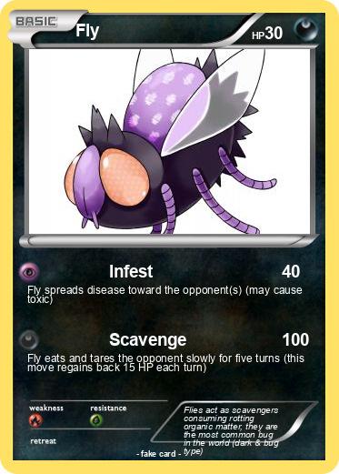 Pokemon Fly
