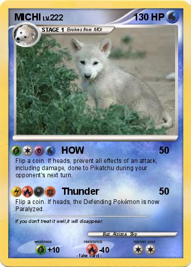 Pokemon MICHI