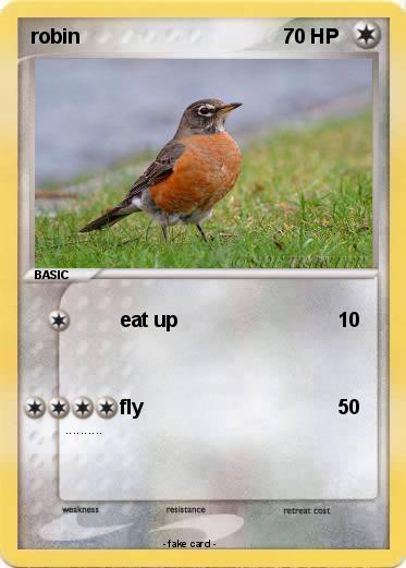 Pokemon robin
