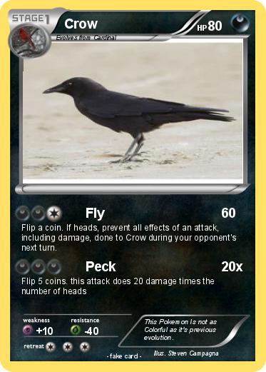 Pokemon Crow
