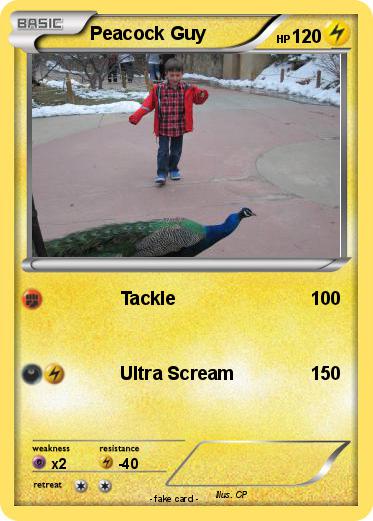 Pokemon Peacock Guy