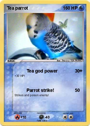 Pokemon Tea parrot