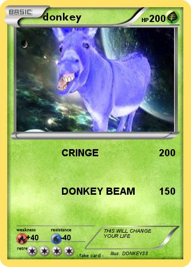 Pokemon donkey