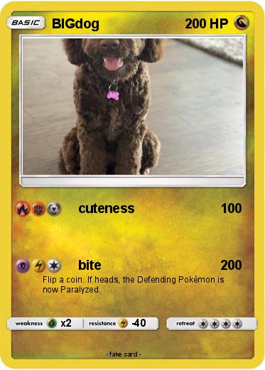 Pokemon BIGdog