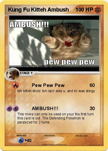 Pokemon Kung Fu Kitteh Ambush