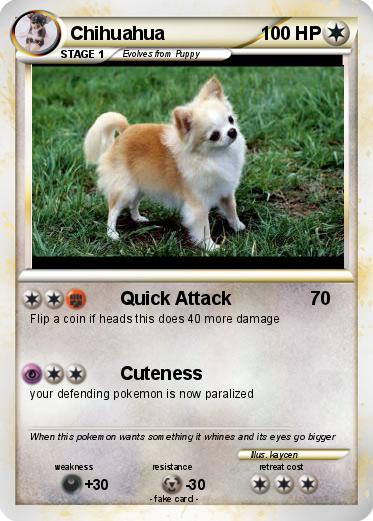 Pokemon Chihuahua