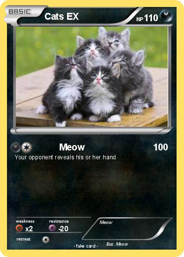 Pokemon Cats EX