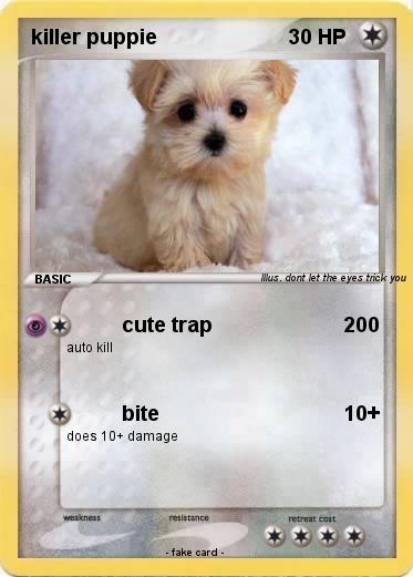 Pokemon killer puppie