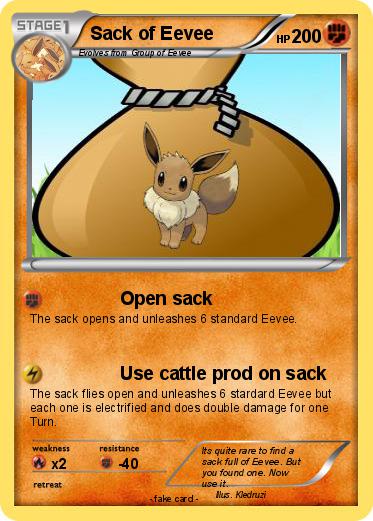 Pokemon Sack of Eevee