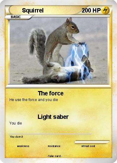 Pokemon Squirrel
