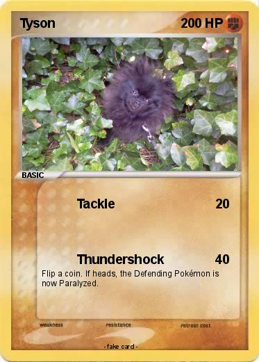 Pokemon Tyson