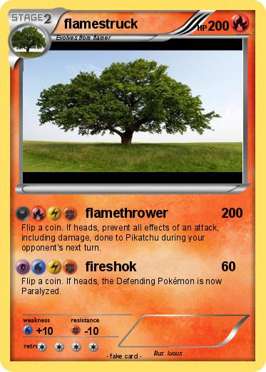 Pokemon flamestruck