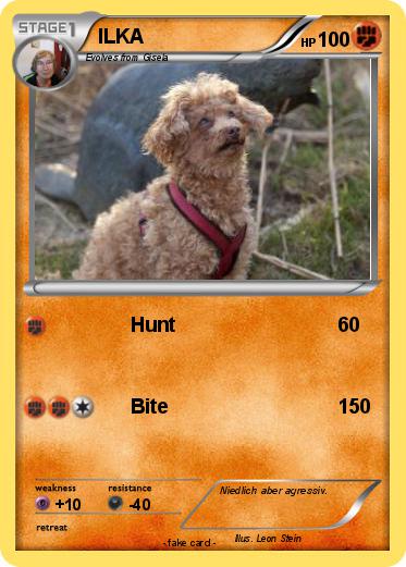 Pokemon ILKA