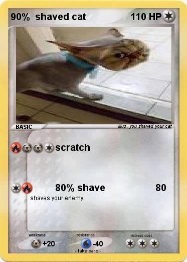 Pokemon 90%  shaved cat