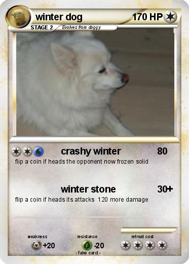 Pokemon winter dog