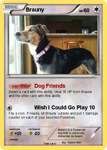 Pokemon Brauny