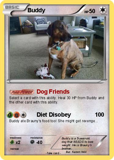 Pokemon Buddy