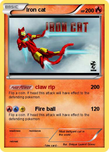Pokemon Iron cat