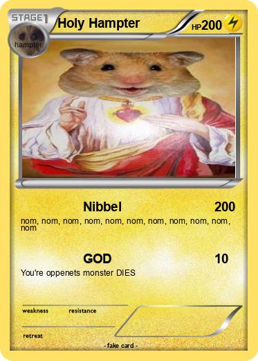 Pokemon Holy Hampter