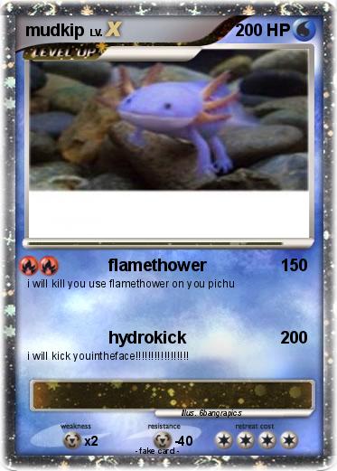 Pokemon mudkip