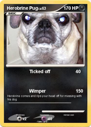 Pokemon Herobrine Pug