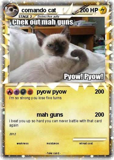 Pokemon comando cat