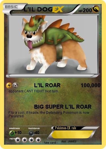 Pokemon L'IL DOG