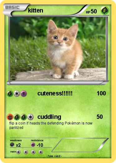 Pokemon kitten